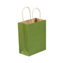 Partners Brand Green Tea Tinted Shopping Bags 8 inch; x 4 1/2 inch; x 10 1/4 inch;, Case of 250