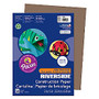 Riverside; Groundwood 100% Recycled Construction Paper, 9 inch; x 12 inch;, Brown, Pack Of 50