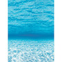 Pacon; Fadeless; Designs Bulletin Board Paper, 48 inch; x 50', Under The Sea