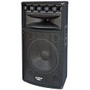 Pyle PylePro PADH1569 500 W RMS - 1000 W PMPO Indoor/Outdoor Speaker - 5-way - Black
