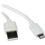 Tripp Lite 3ft Lightning USB Sync/Charge Cable for Apple Iphone / Ipad White 3'