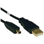 Tripp Lite 6ft USB 2.0 Gold Device Cable A Male / 4Pin Round Mini-B Male