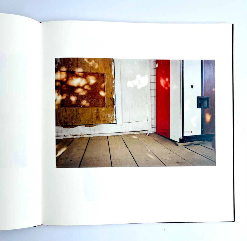 William Eggleston, William Eggleston The Democratic Forest Selected Works (Hand signed), 2016