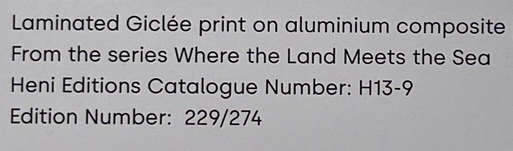 Damien Hirst, Colliding, H13-9, from Where the Land Meets the Sea, 2023