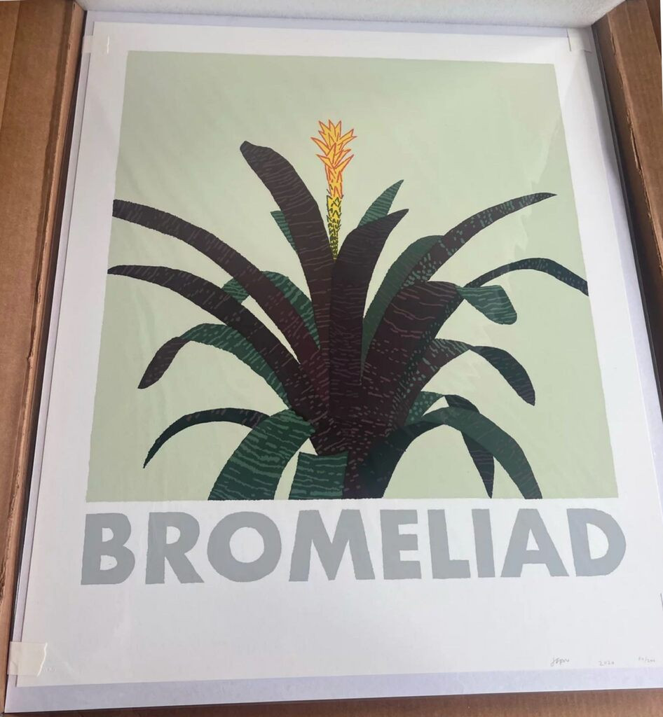 Jonas Wood, Bromeliad, 2020