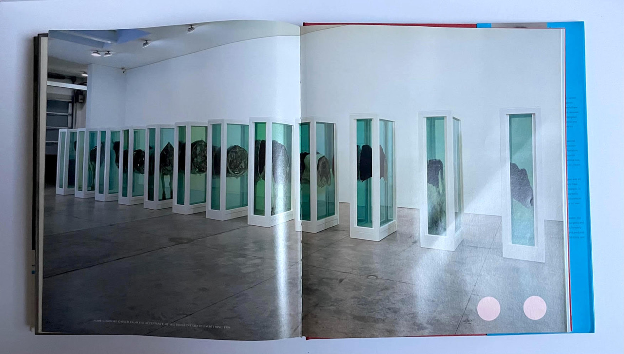 Damien Hirst, 
