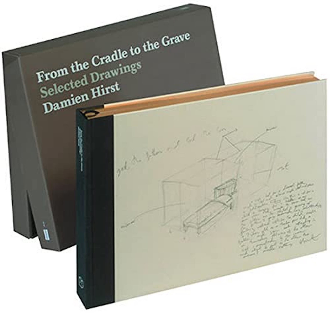 Damien Hirst, From the Cradle to the Grave, 2005