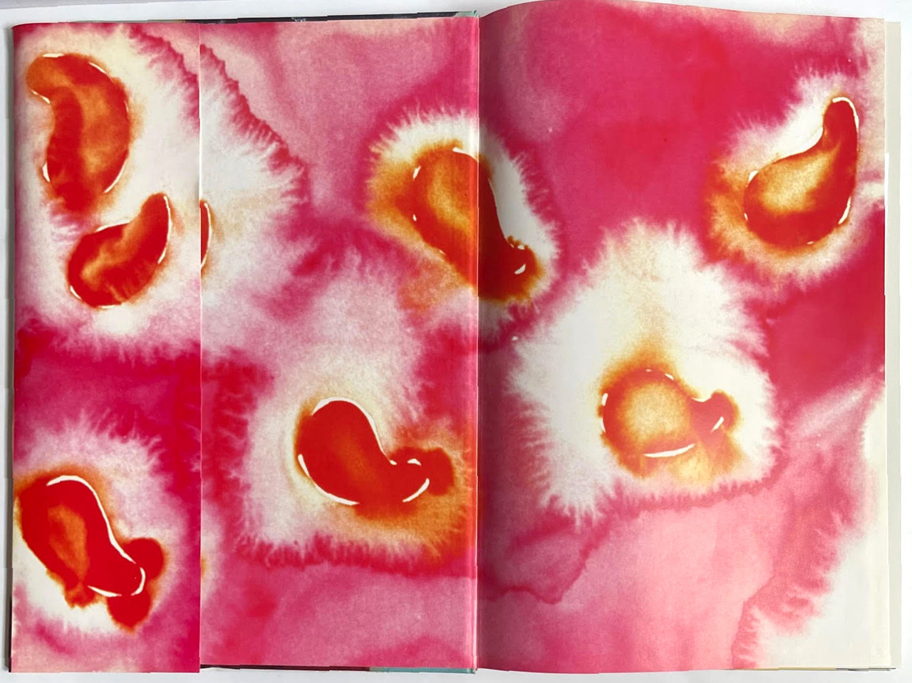 Life is Paradise Francesco Clementeクレメンテ Francesco Clemente, Life is Paradise (Hand signed by