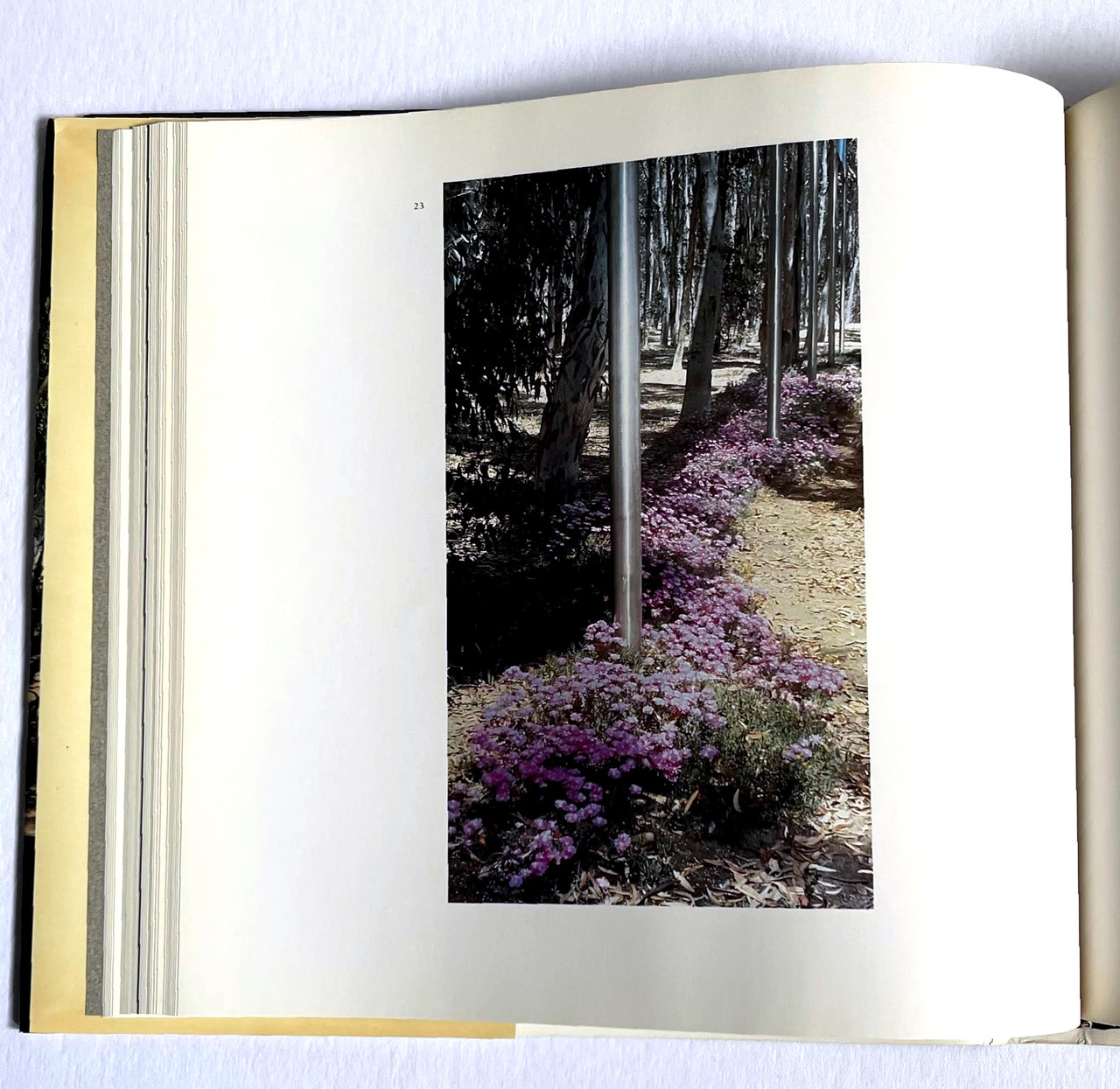 Robert Irwin, Being and Circumstance NotesToward a Conditional Art