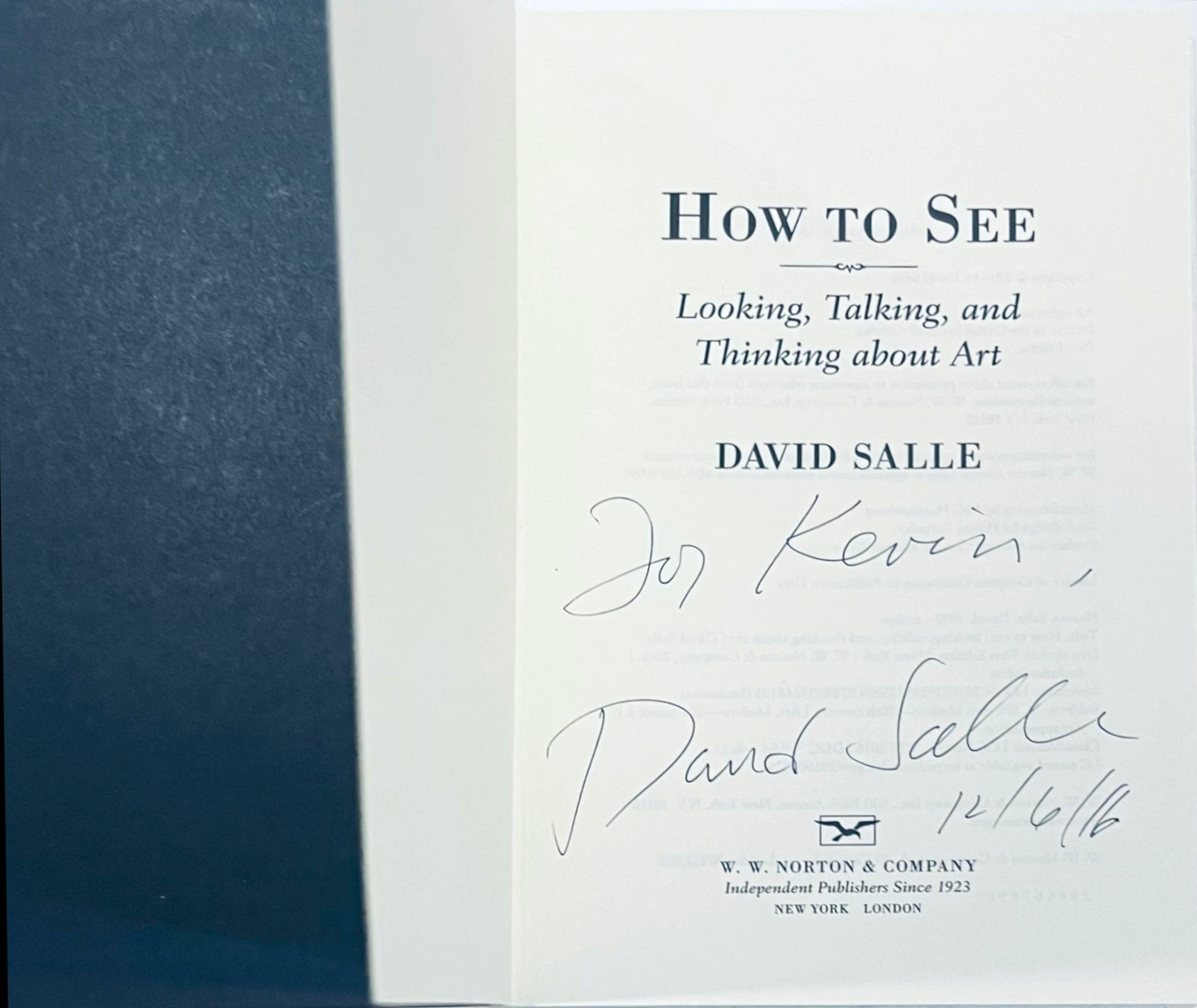 David Salle, HOW TO SEE Looking, Talking and Thinking about Art