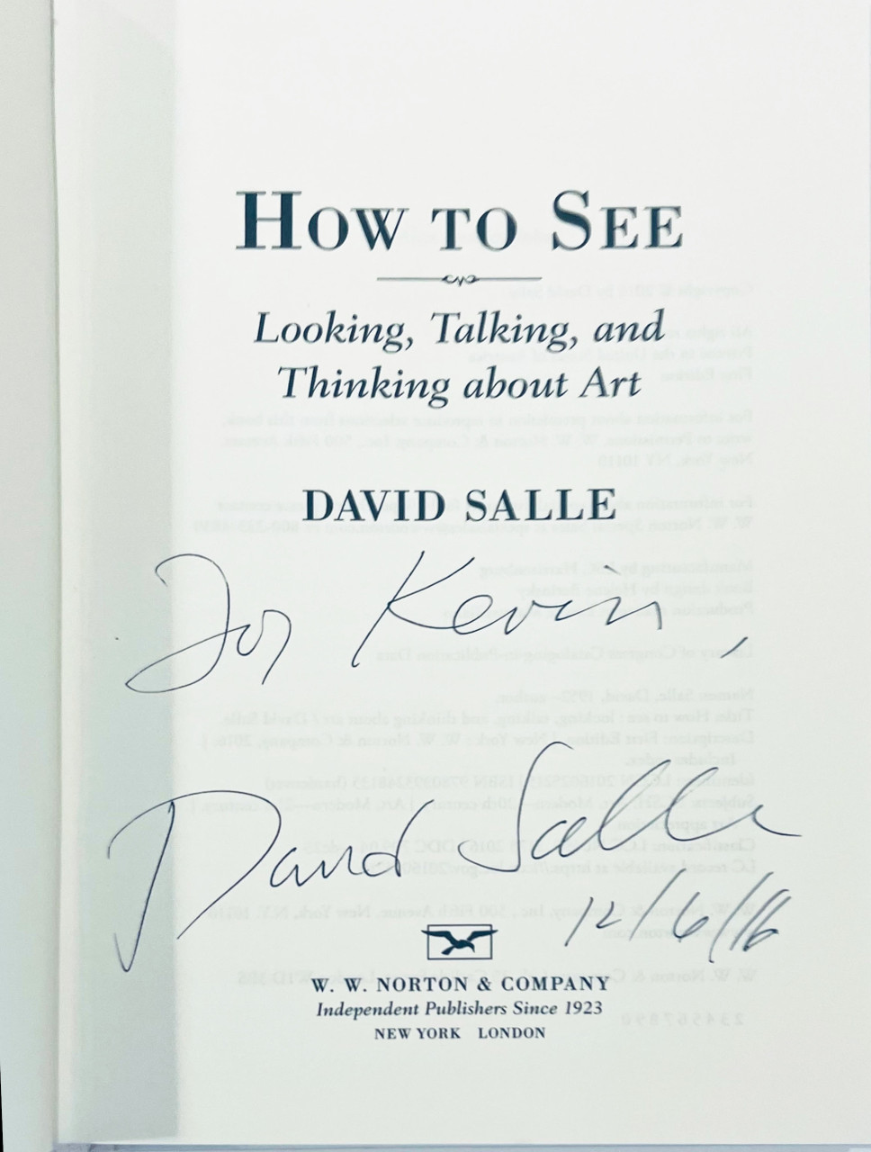 David Salle, HOW TO SEE Looking, Talking and Thinking about Art