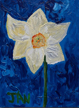 Jan Cowles, Southampton Daffodil, 2008