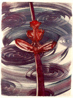 James Nares, Untitled flower monotype, 1988