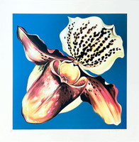 Lowell Nesbitt, Orchid, 1979