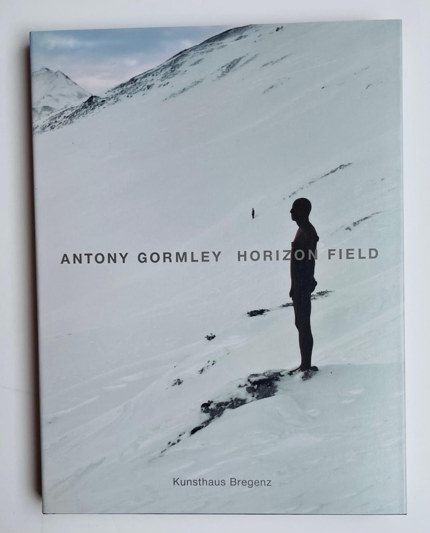 Antony Gormley, Antony Gormley Horizon Field (box set of two 