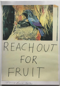 Tracey Emin, Reach Out for Fruit, 2012 Tracey Emin, Reach Out for Fruit, 2012