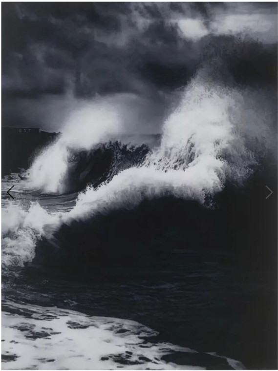 Damien Hirst, Faneel, H13-11, from Where the Land Meets the Sea, 2023