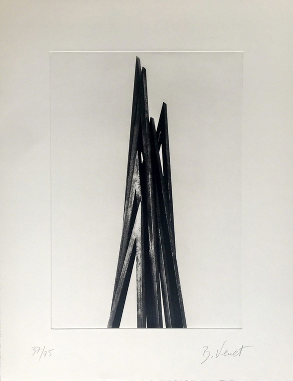 BERNAR VENET, VERTICAL ANGLES, Print A, 2016