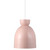 Circus 21 Rose
