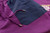 Gucci x The North Face Purple/Navy Joggers