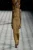 SS23 Saint Laurent Knitted Hooded Maxi Dress in Brown