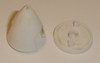 Megatech Airstrike Spinner Cone and Backplate Set
