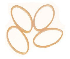 Megatech Rubber Wing Bands