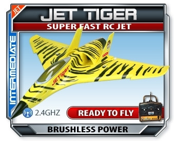 ParkFlyers R/C Jet Tiger RTF Jet Airplane Version 2