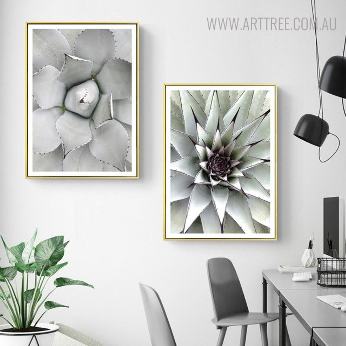 Aloe Vera Botanical Modern Scandinavian Painting Print for Room Wall Equipment