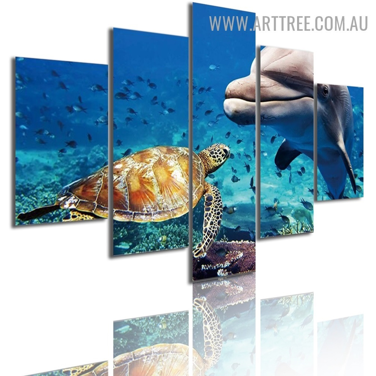 Dolphin Tortoise Land Naturescape Modern 5 Multi Panel Animal Art Image Canvas Print for Room Wall Garnish