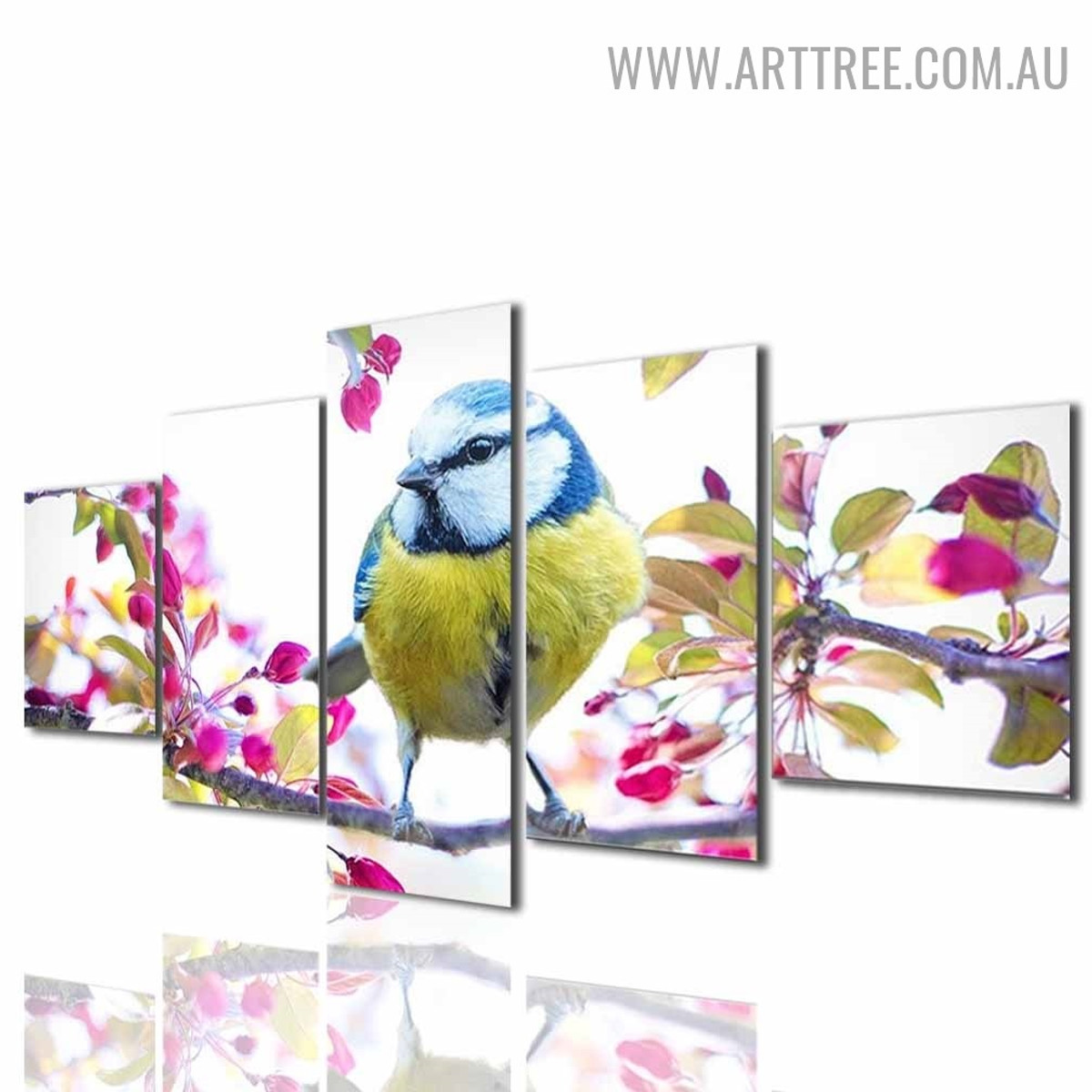 Colourful Bird Flowers Modern Floral 5 Piece Split Painting Image Canvas Print for Room Wall Decor