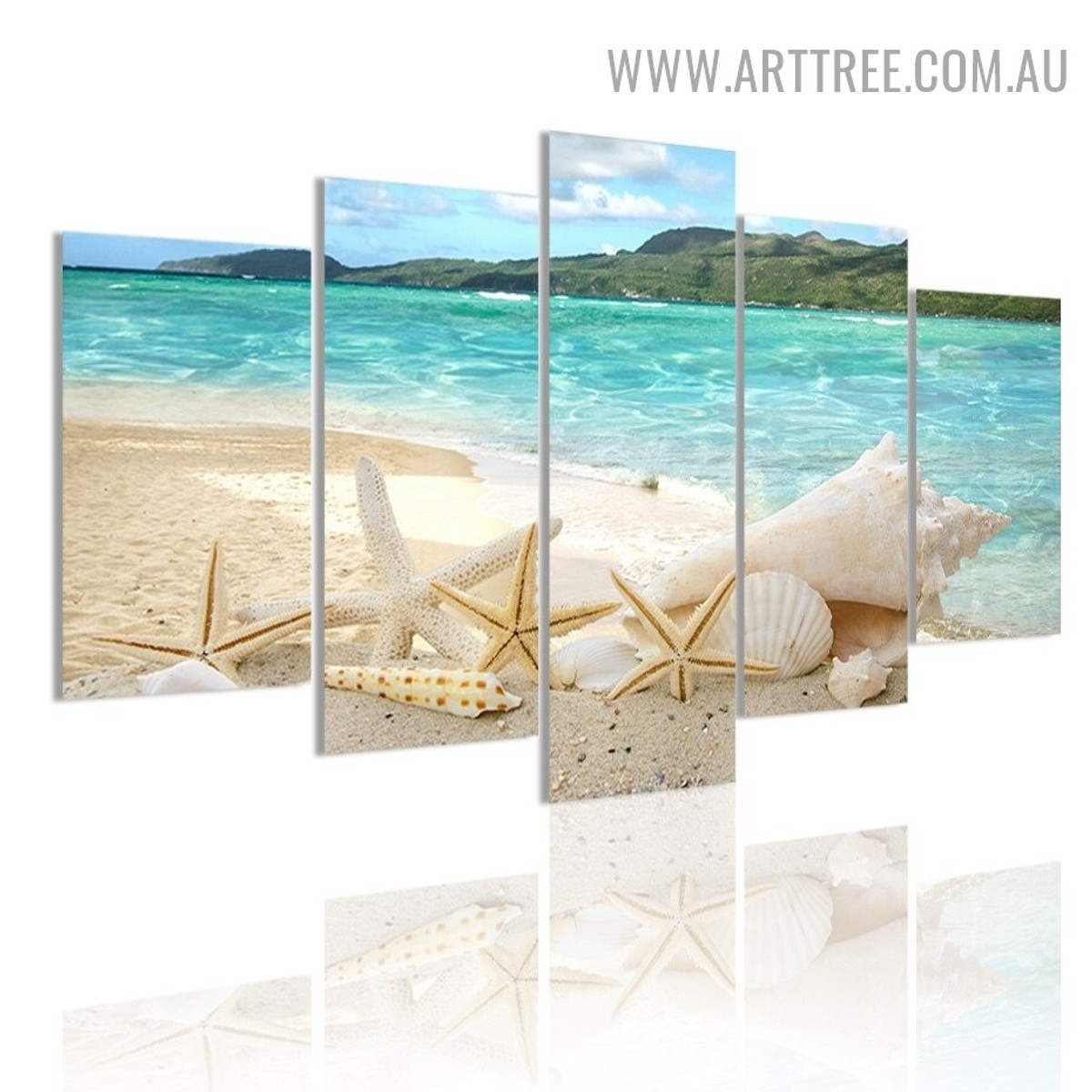 Seashell Beach Land 5 Piece Multi Panel Naturescape Image Modern Canvas Painting Print for Room Wall Decor