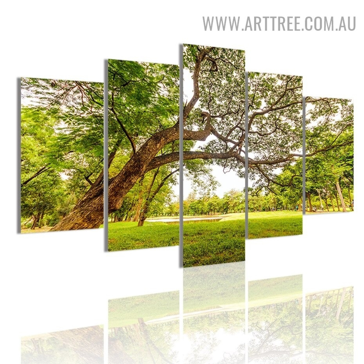 Orchard View Trees Landscape Modern 5 Piece Split Image Canvas Art Print for Room Wall Finery