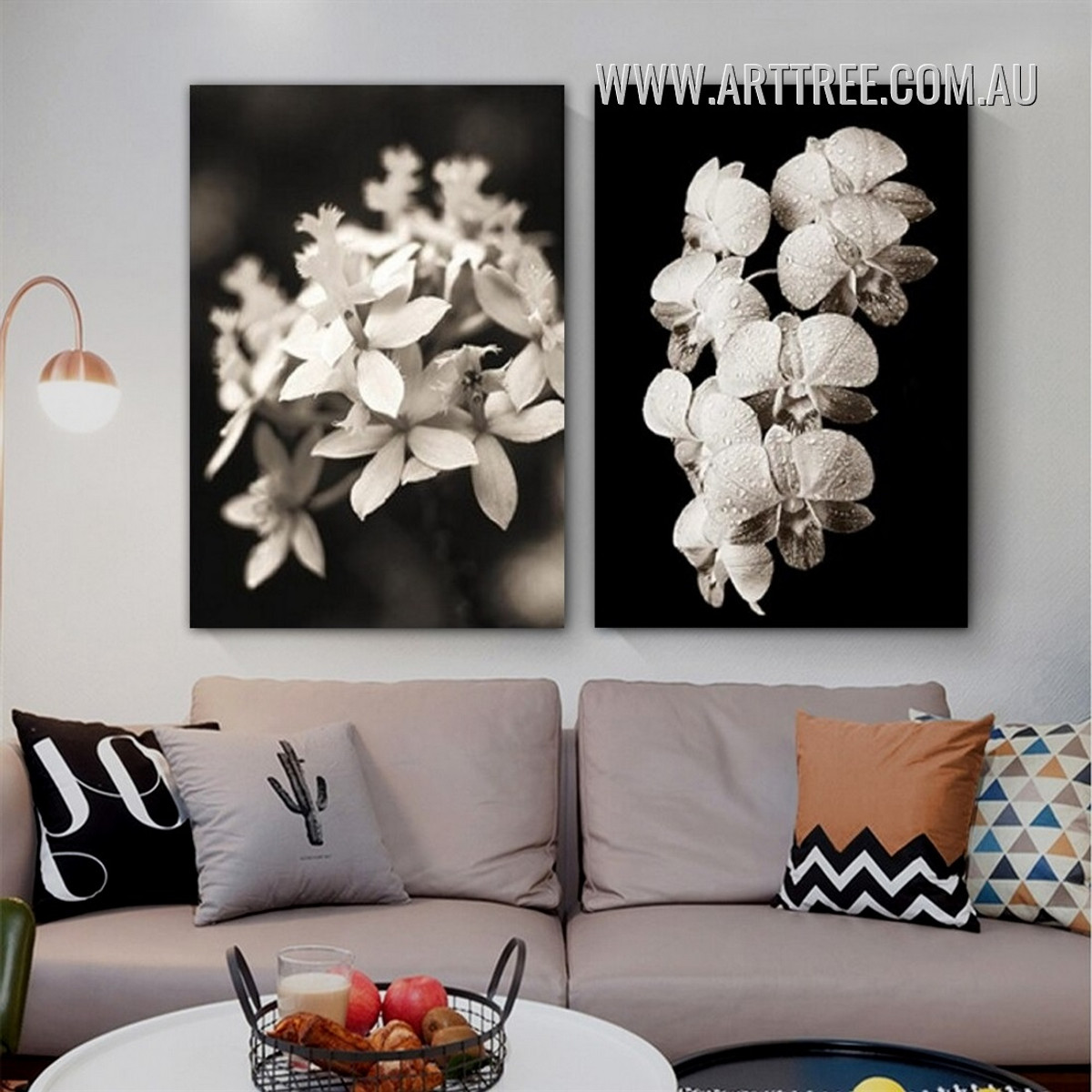 Moth Orchid Blossoms Modern 2 Piece Framed Wall Art Photograph Floral Canvas Print for Room Trimming