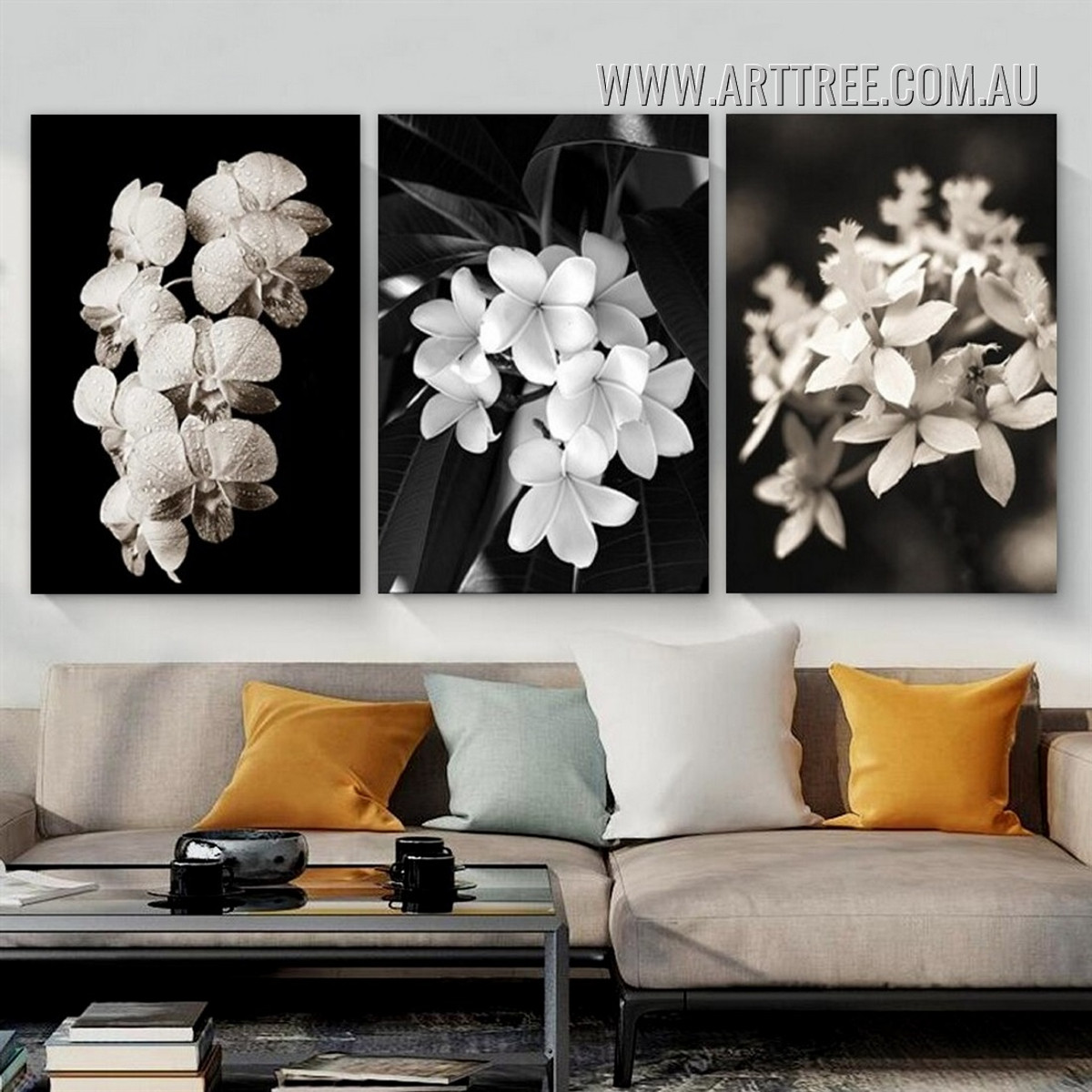 Plumeria Blooms Abstract Floral 3 Piece Framed Wall Art Modern Photograph Canvas Print for Room Molding