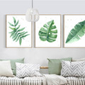 Watercolor Plant Green Leaves Minimalist Design