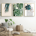 Green Split Leaf Philodendron Plants Photo Canvas Prints