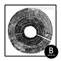 Long Tree Ring Black and White Canvas Art (2)