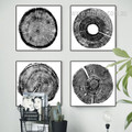 Long Tree Rings Black and White 4 Piece Wall Art