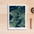 Tropical Green Plant Print