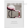 Reflection Flamingo Bird Art