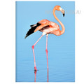 Flamingo Bird Spindrift Design Watercolor Canvas Print