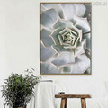 White Cactus Botanical Modern Scandinavian Canvas Print for Room Wall Ornament