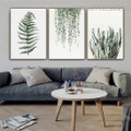 Hanging Leaves Snake Plant Floral 3 Piece Modern Art Photograph Nordic Canvas Print for Room Wall Molding