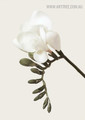 Blossom Minimalist Floral Retro Artwork Image Canvas Print