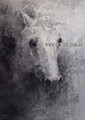 Pale Equine Contemporary Animal Heavy Texture Artist Handmade Abstract Wall Art Painting