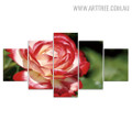 Colourful Rose 5 Piece Floral Modern Over Size Abstract Image Canvas Painting Print for Room Wall Getup