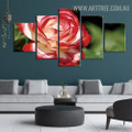 Colourful Rose Abstract Floral Modern 5 Piece Split Art Image Canvas Print for Room Wall Finery