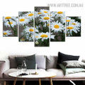 White Sunflowers Leaves Modern 5 Piece Large Size Floral Artwork Image Canvas Print for Room Wall Illumination