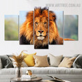 Wild Monarch Lion Animal 5 Piece Split Art Image Contemporary Canvas Print for Room Wall Equipment